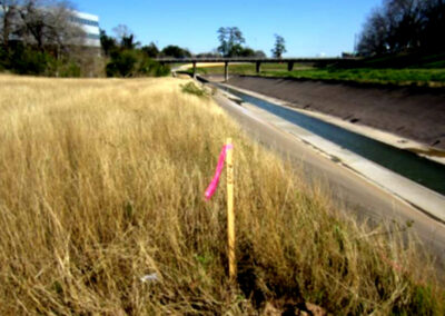 MKT Rails to Trails